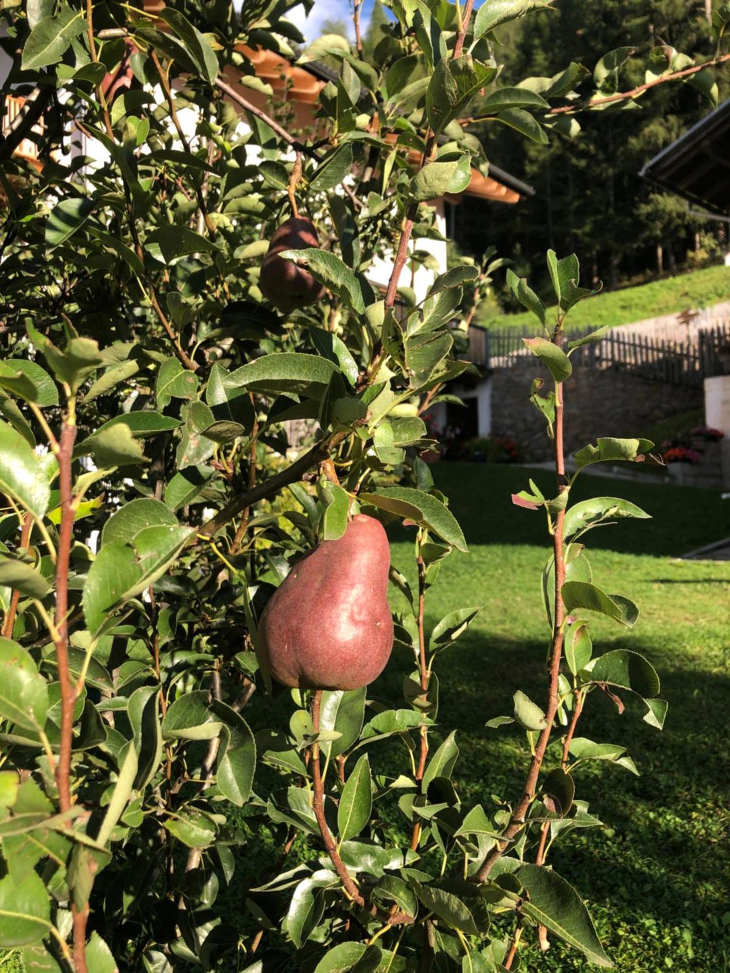 Appartamento Planatschhof Funes  Esterno foto