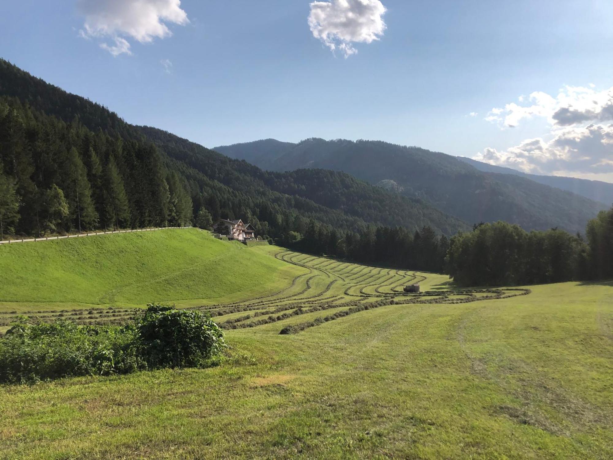 Appartamento Planatschhof Funes  Esterno foto