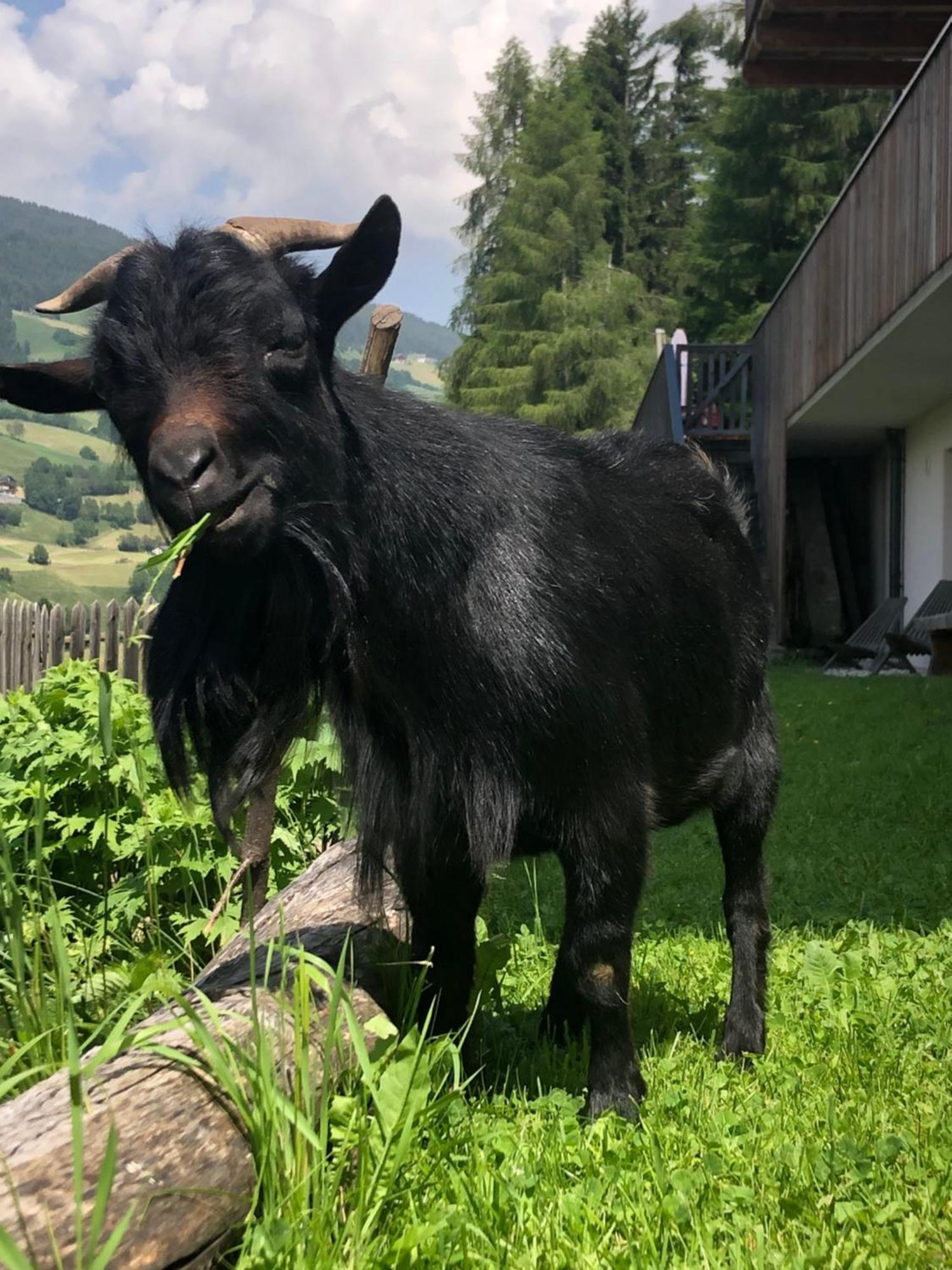 Appartamento Planatschhof Funes  Esterno foto